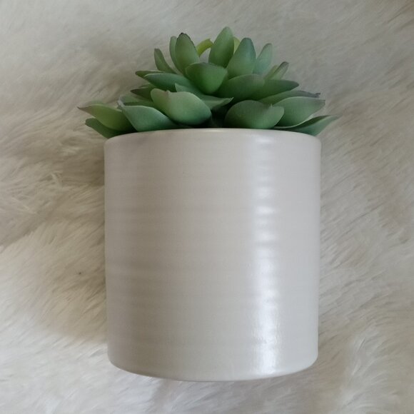 Faux Arrangements Succulent - NEW!!! - Picture 4 of 5